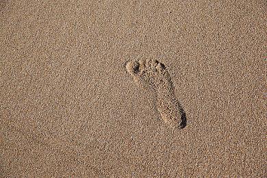 《帝国时代手游》10月17日发售 确认参加科隆游戏展